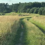 Vakantiehuis Mazurski Dom Brejdyny Sauna I Bania