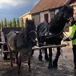 Vakantiehuis Mazurski Dom Brejdyny Sauna I Bania