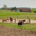 Mazurski Dom Brejdyny Sauna I Bania Mrągowo