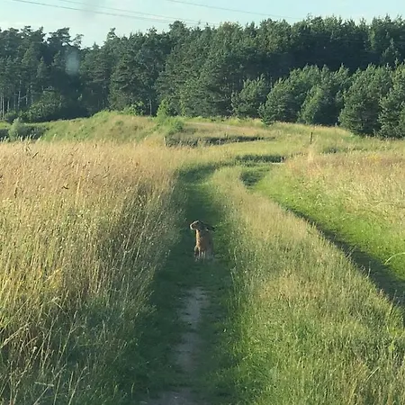 Сasa de vacaciones Mazurski Dom Brejdyny Sauna I Bania
