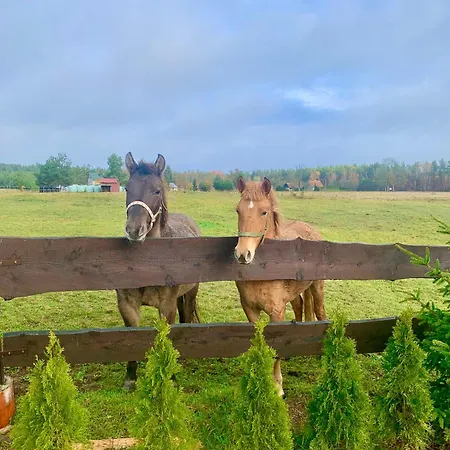 Сasa de vacaciones Mazurski Dom Brejdyny Sauna I Bania *