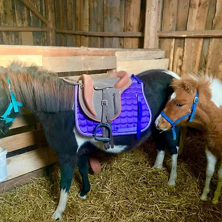 Mazurski Dom Brejdyny Sauna I Bania