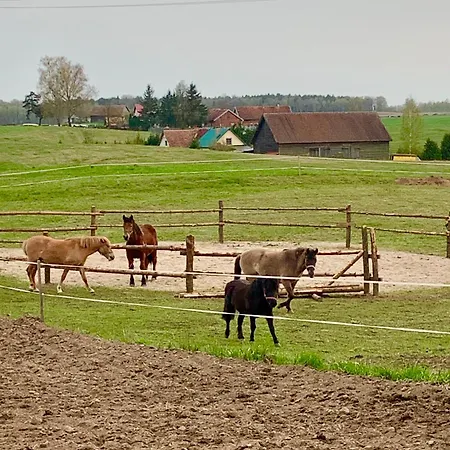 Mazurski Dom Brejdyny Sauna I Bania Mrągowo